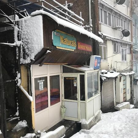 Exotic Naturals Guest House Shimla Extérieur photo