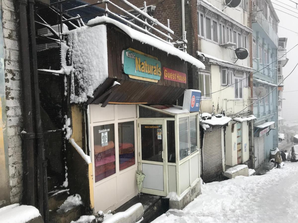Exotic Naturals Guest House Shimla Extérieur photo